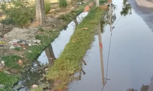 Mithaura Maharajganj News 20250417 131203 0000