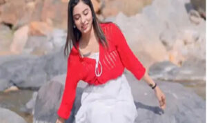 मशहूर हरियाणवी मॉडल शीतल चौधरी की हत्या, नहर में मिला शव