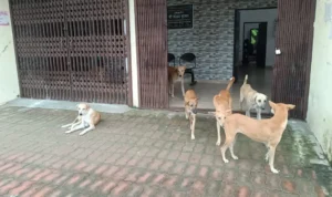 mrj news 20250820 180848 0000