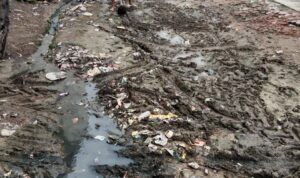 img 20250913 wa01173996393261621642639