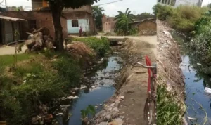 mrj news 20250912 065606 0000