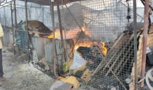 Mrj News 20251113 110326 0000