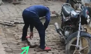 Mrj News 20251116 070442 0000