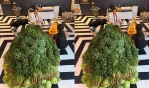 Mrj News 20251205 060731 0000